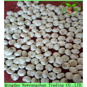 Hot Sale Chinese White Fresh Spicy Garlic