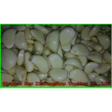 Fresh Chinese Garlic Wholesale Price