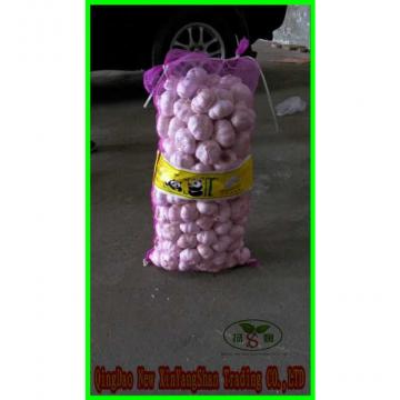 Garlic Wholesale Price Per Ton normal/Pure/peeled White Garlic