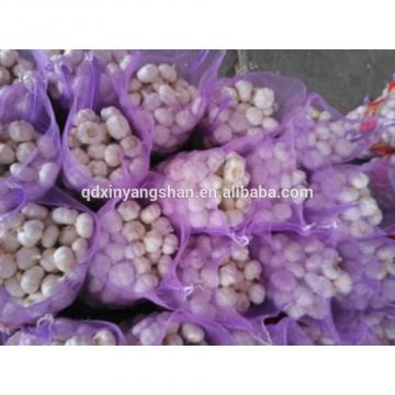 Fresh Chinese Garlic Wholesale Price