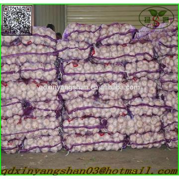 Shandong Garlic Wholesale Export Price 2016