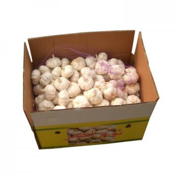 Professional supply healthy new crop white garlic with high quality