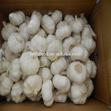 White garlic