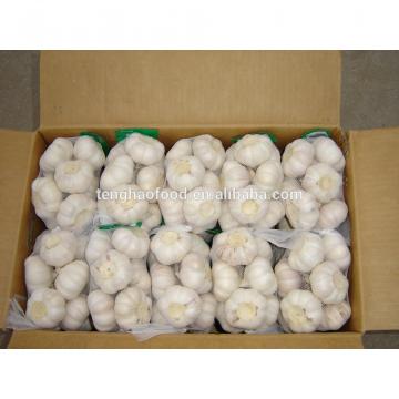 Best price and quality 2016 new crop of fresh Chinese garlic