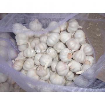 2017 Fresh Garlic / Alho from Jinxiang J10