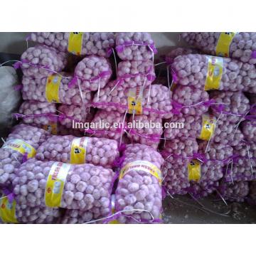 2017 Fresh Garlic / Alho from Jinxiang Liming J10