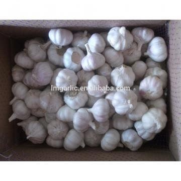 2017 corp Normal White Garlic / Alho from Jinxiang Liming J10