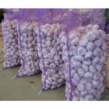 Chinese 2017 New Crop Fresh Garlic Price