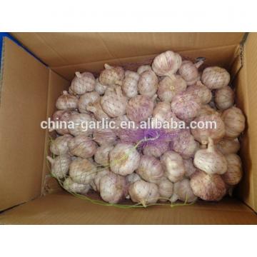 Chinese 2017 New Crop Fresh Garlic Price