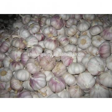 Chinese 2017 New Crop Fresh Garlic Price