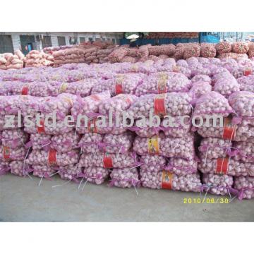 Chinese fresh garlic