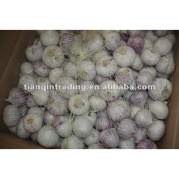 2017 chinese solo garlic