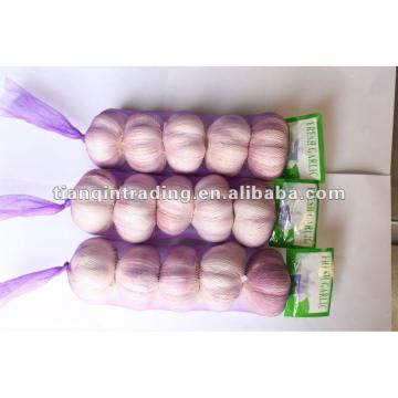 2017 China fresh red garlic