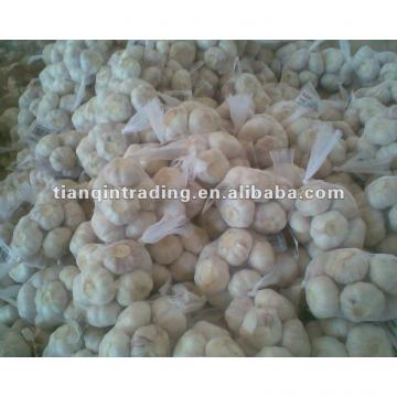 2017 Chinese new crop garlic