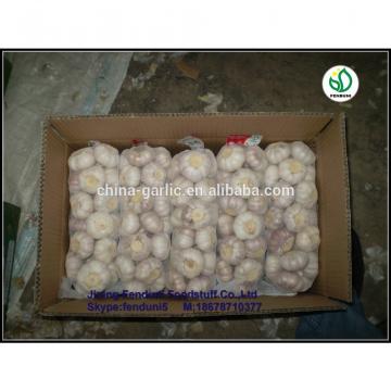 2017 Natural garlic 50mm with high quality and best price