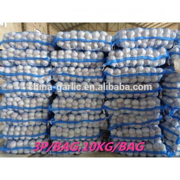 Fresh Ajo En Caja Price From China