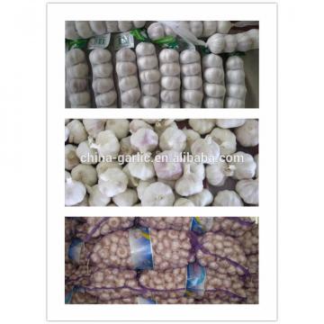 2017 Natural garlic 50mm with high quality and best price