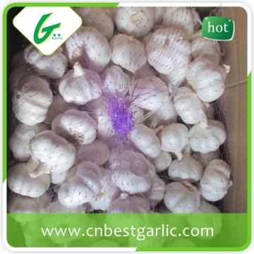 China fresh white garlic for wholesales with cheap price