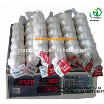 2017 new crop China cheap garlic for wholesale