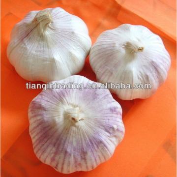 2012 fresh garlic from China