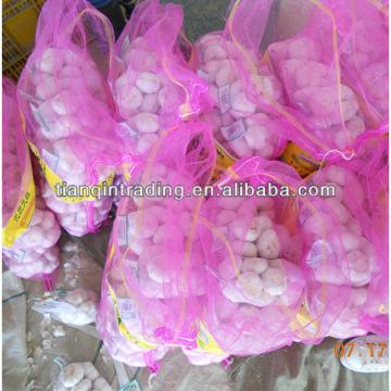 small packing garlic price 2012