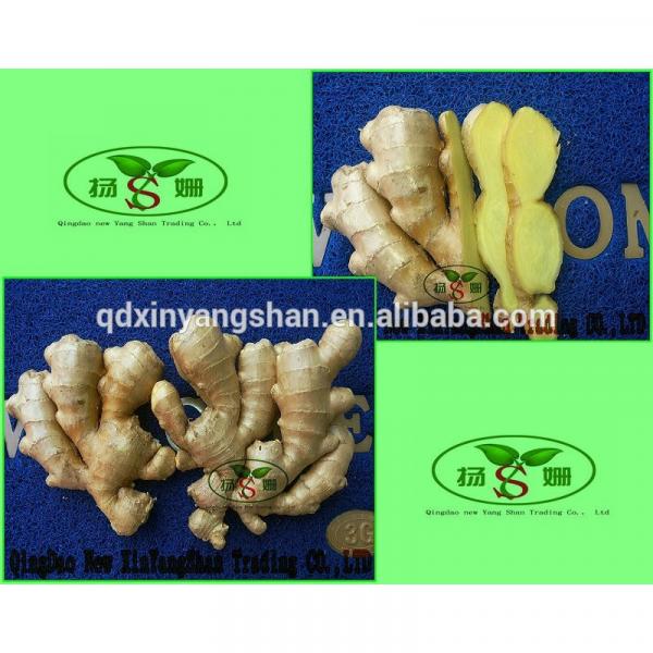 (HOT) Shandong Purple Garlic Product Exporte to Dubai 10kg/Carton