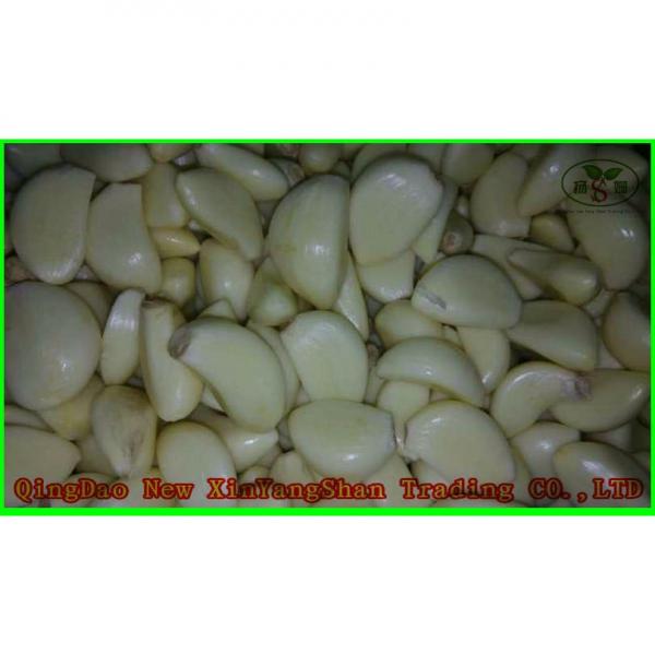 Professional Chinese Garlic Supplier Health Benifits Fresh White Garlic