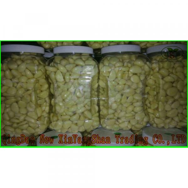 Garlic Production Peeled Garlic Wholesale Price