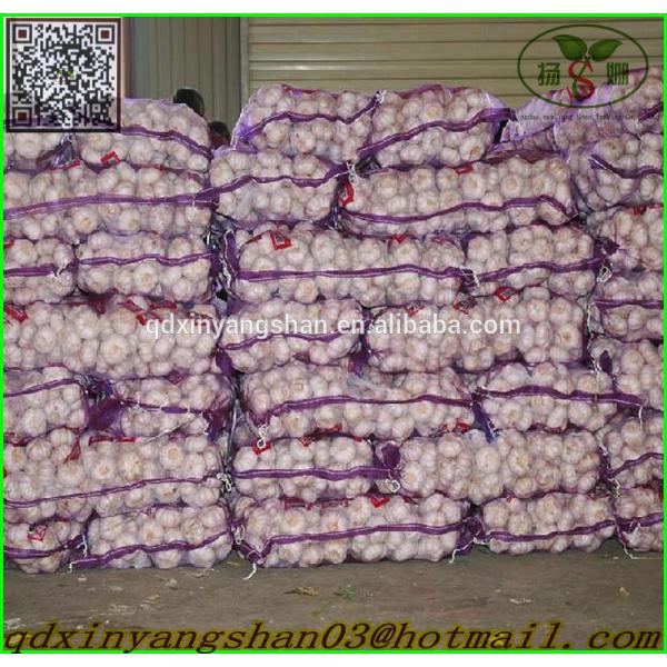 Garlic Wholesale Price Per Ton normal/Pure/peeled White Garlic