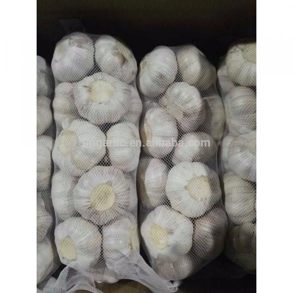 2017 Fresh Garlic / Alho from Jinxiang Liming J10