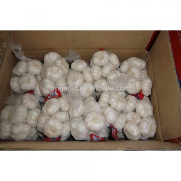 2017 Fresh Garlic / Alho from Jinxiang Liming Food J17