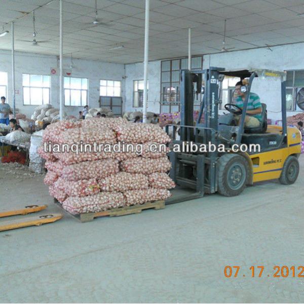 2017 garlic material price