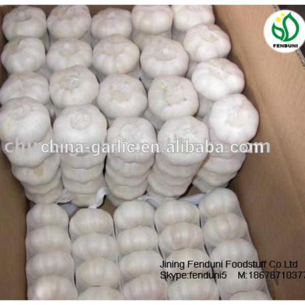 2017 new crop China cheap garlic for wholesale