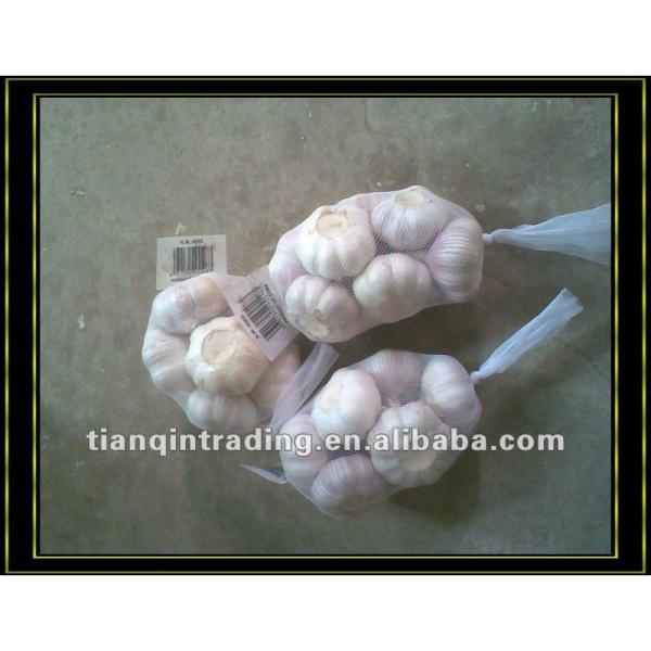 2012new crop white garlic from China