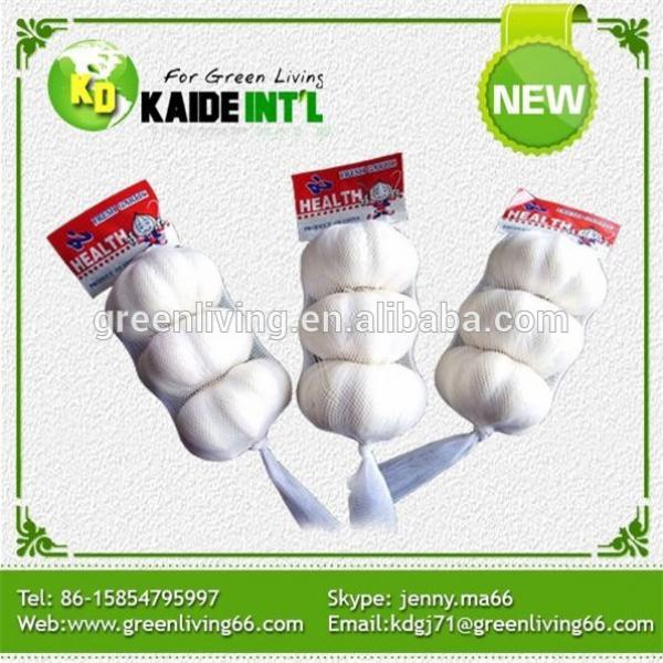 trade assurance supplier wholesale garlic planter